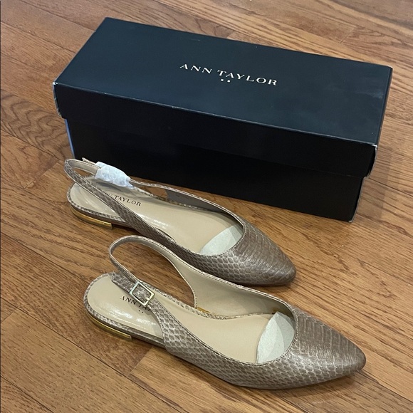 Ann Taylor Shoes - Ann Taylor Giana Slingback Flat